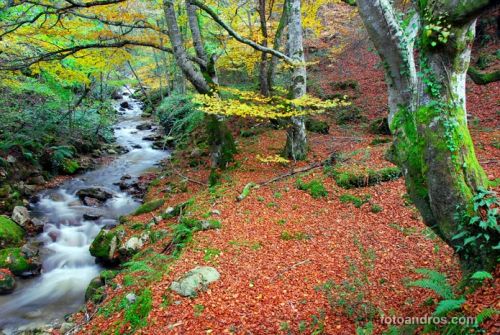 Fotografías menos votadas » Autor: fotoandros - Galería: RIOS Y LAGOS - Fotografía: 