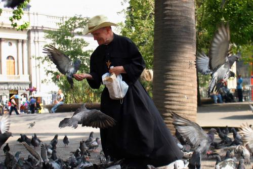 Fotos mas valoradas » Foto de Bigoles - Galería: Mis Foto mas queridas - Fotografía: 