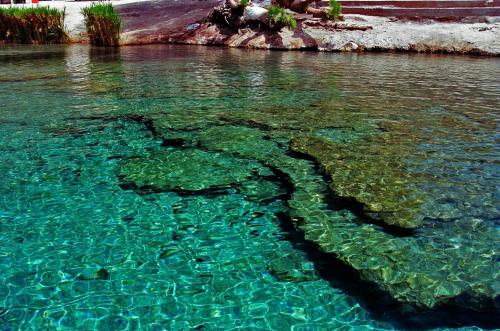 Fotografías menos votadas » Autor: Robert - Galería: Cuatrocienegas un Oasis en el Desierto - Fotografía: Poza de La Becerra