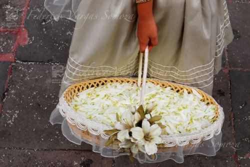 Fotografías menos votadas » Autor: Federico Vargas Somoza - Galería: BODAS - Fotografía: 