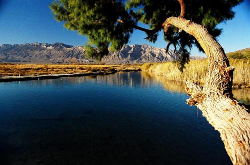 Fotos mas valoradas » Foto de Roberto Ramos - Galería: El 0asis del Desierto Cuatrocienegas - Fotografía: Poza La becerra