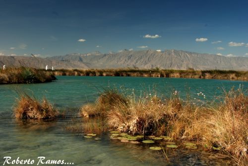 Fotografías menos votadas » Autor: Roberto Ramos - Galería: El 0asis del Desierto Cuatrocienegas - Fotografía: 