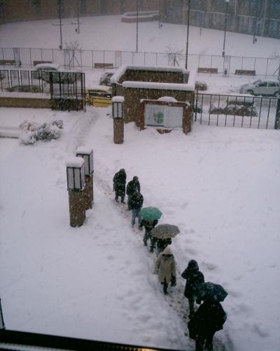 Fotos mas valoradas » Foto de shui - Galería: Nieve - Fotografía: procesin invernal