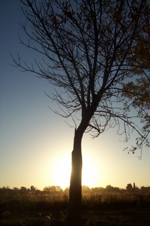 Fotografías menos votadas » Autor: Laura - Galería: Tu luz - Fotografía: Tarde en el Irusta