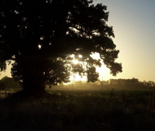 Fotografías menos votadas » Autor: Laura - Galería: Tu luz - Fotografía: 