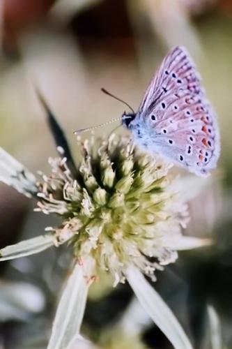 Fotografías menos votadas » Autor:  - Galería: Popurr! - Fotografía: 