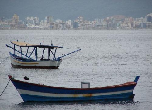 Fotografías menos votadas » Autor:  - Galería: Candonga y Bombinhas - Fotografía: meia praia