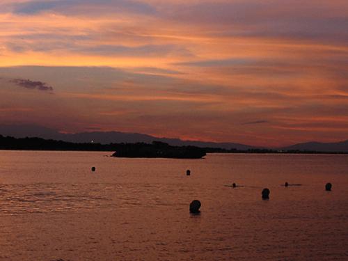 Fotografías menos votadas » Autor: rebeca panizo - Galería: NATURALEZA, PAISAJES... - Fotografía: ATARDECER