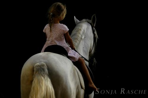 Fotos menos valoradas » Foto de Sonja Rasche - Galería: Caballos - Fotografía: Pasear