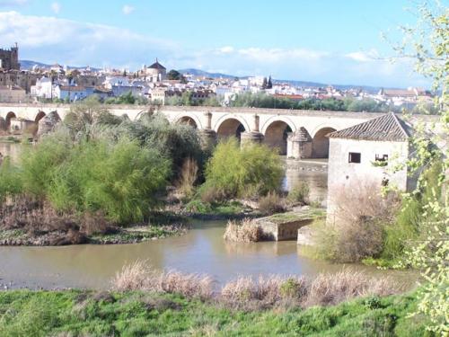 Fotografías menos votadas » Autor:  - Galería: Cordoba - Fotografía: 