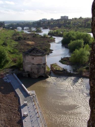 Fotografías menos votadas » Autor:  - Galería: Cordoba - Fotografía: 