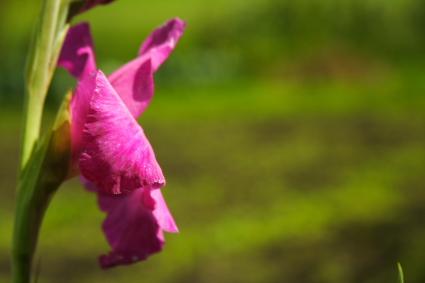 Fotografías menos votadas » Autor: condito - Galería: De todo un poco - Fotografía: 