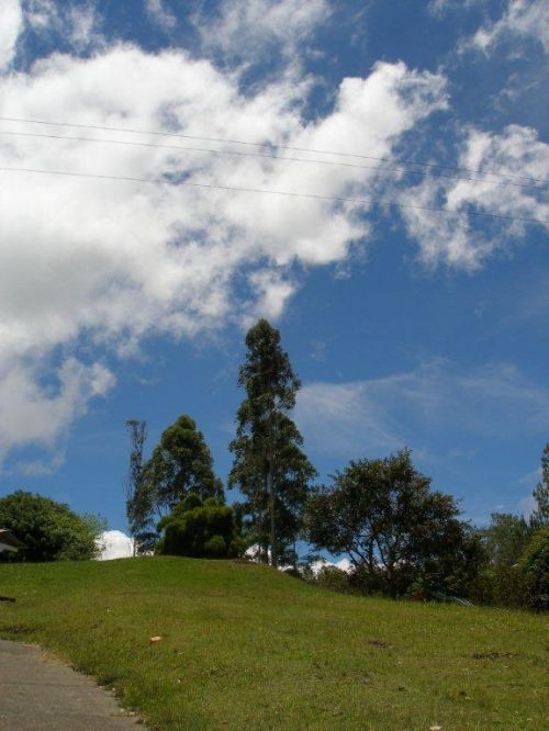 Fotografías menos votadas » Autor: hzuluaga - Galería: MI VALLE DEL CAUCA - Fotografía: 