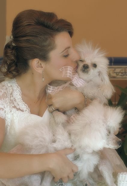 Fotografías menos votadas » Autor: vctor Manuel Gracia - Galería: Bodas - Fotografía: 