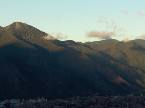 Fotografías menos votadas » Autor:  - Galería: Flores y algo mas - Fotografía: Cerro El Avila