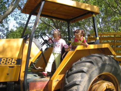 Fotografías menos votadas » Autor: no hay - Galería: atardeceres - Fotografía: Mis nietas tractor