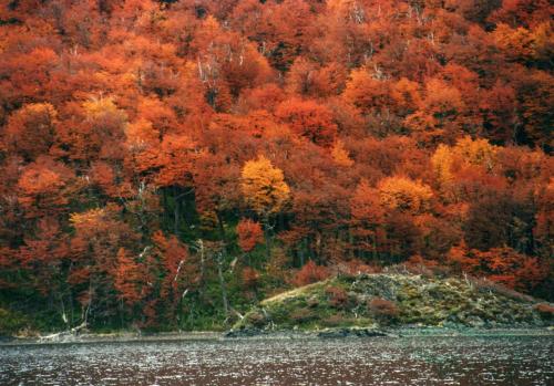 Fotos menos valoradas » Foto de sebas - Galería:  algo de lo nuestro - Fotografía: al rojo vivo