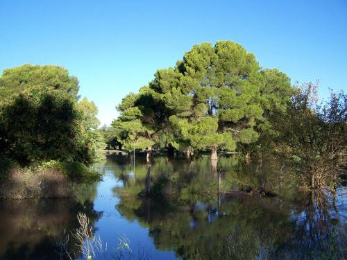 Fotografías menos votadas » Autor: Nikolas - Galería: Club de golf Baha Blanca - Fotografía: Reflejos