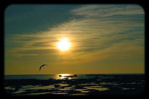 Fotos menos valoradas » Foto de RoSpiraL - Galería: Andalucia - Fotografía: Surcando La Inmens