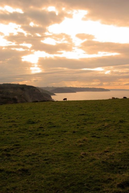 Fotografías menos votadas » Autor: Sancorca - Galería: Paisajes de Asturias - Fotografía: 