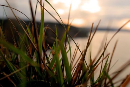 Fotografías menos votadas » Autor: Sancorca - Galería: Paisajes de Asturias - Fotografía: 