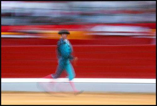 Fotos mas valoradas » Foto de Agustin Muoz Luna - Galería: Tarde de toros - Fotografía: A salvo