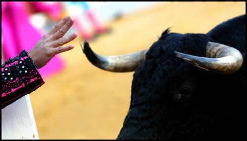 Fotos mas valoradas » Foto de Agustin Muoz Luna - Galería: Tarde de toros - Fotografía: Eh toro