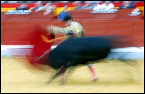 Fotos mas valoradas » Foto de Agustin Muoz Luna - Galería: Tarde de toros - Fotografía: y otro mas