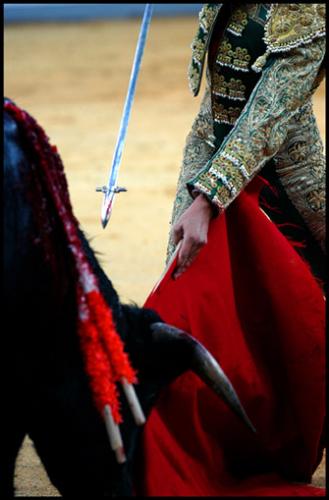 Fotos menos valoradas » Foto de Agustin Muoz Luna - Galería: Tarde de toros - Fotografía: Terminando