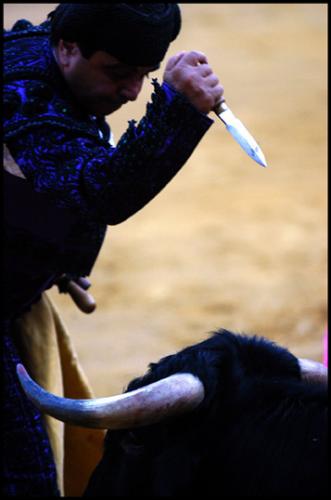 Fotos menos valoradas » Foto de Agustin Muoz Luna - Galería: Tarde de toros - Fotografía: Remate