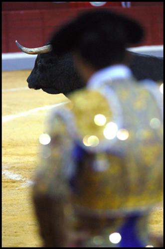 Fotos mas valoradas » Foto de Agustin Muoz Luna - Galería: Tarde de toros - Fotografía: Al quite