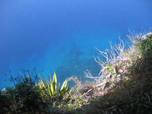 Fotos mas valoradas » Foto de Lola - Galería: VIAJES - Fotografía: MADEIRA