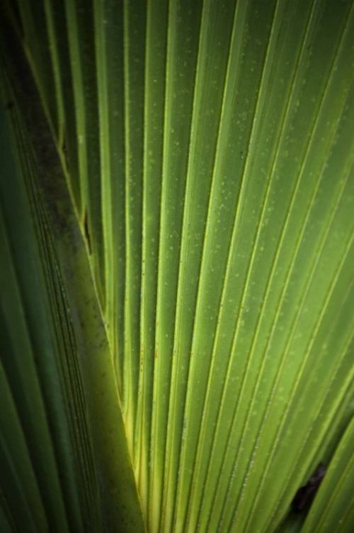 Fotografías menos votadas » Autor: YDS Fotografa - Galería: Naturaleza - Fotografía: 