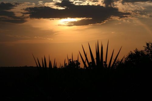 Fotografías menos votadas » Autor: Ximena Torres - Galería: Paisajes - Fotografía: Atardecer