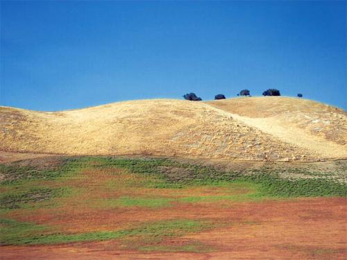 Fotos menos valoradas » Foto de max - Galería: Estados Unidos - Fotografía: Paisaje de color