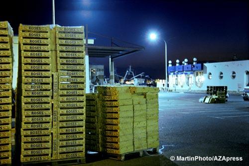 Fotos menos valoradas » Foto de Sin Nombre - Galería: Lugares con vida prpia - Fotografía: Puerto de Roses - 