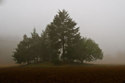 Fotografías menos votadas » Autor: HANS GRIMALDI - Galería: S/Ttulo - Fotografía: 