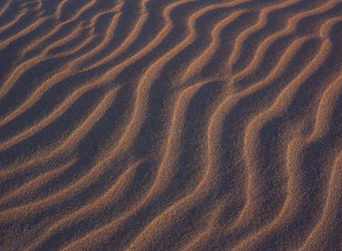 Fotos mas valoradas » Foto de Sin Nombre - Galería: Naturaleza Intima - Fotografía: Cabo de Gata