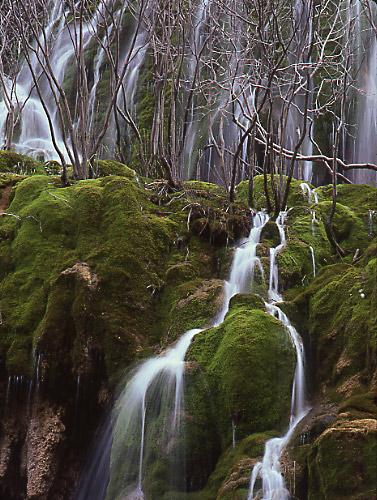 Fotos mas valoradas » Foto de Sin Nombre - Galería: Naturaleza Intima - Fotografía: Rio Cuervo