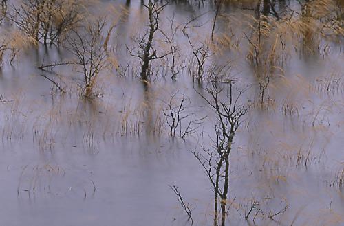 Fotos mas valoradas » Foto de Sin Nombre - Galería: Naturaleza Intima - Fotografía: Hierbas