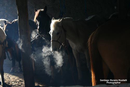 Fotos mas valoradas » Foto de Santiago Moreira Musitelli - Galería: Mi Uruguay - Fotografía: 