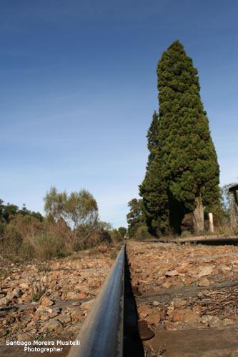 Fotos menos valoradas » Foto de Santiago Moreira Musitelli - Galería: Mi Uruguay - Fotografía: 