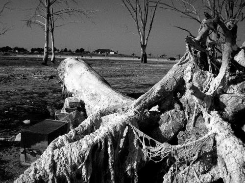 Fotografías menos votadas » Autor: FabinLarrea - Galería: El Lago Epecuen, Carhue - Fotografía: 