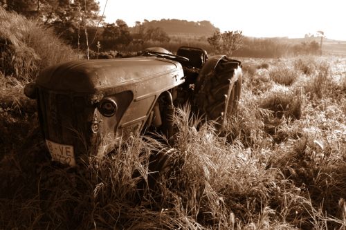 Fotografías menos votadas » Autor: L'Alquimista - Galería: Arte y Naturaleza - Fotografía: 