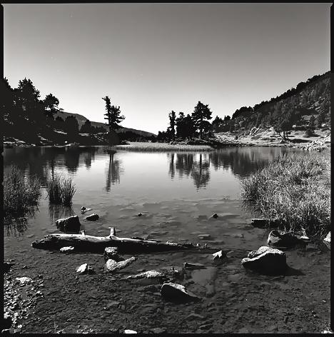 Fotos menos valoradas » Foto de Luis Henriques - Galería: Naturaleza - Fotografía: Lac Achard