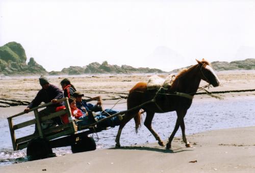 Fotos mas valoradas » Foto de Hector Yaez Linnebrink - Galería: paisajes y gentes de chiloe - Fotografía: un auto familiar d