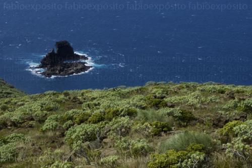 Fotografías menos votadas » Autor: fabio expsito - Galería: La Palma - Fotografía: 