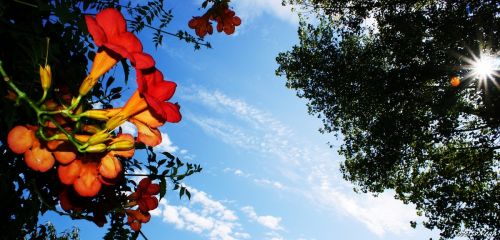 Fotografías menos votadas » Autor: Roberto Vega - Galería: El Bierzo  2. - Fotografía: 