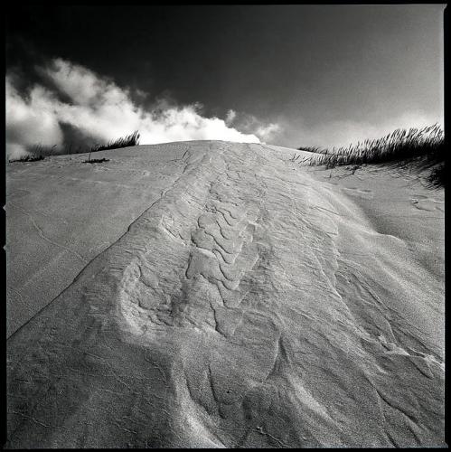 Fotos menos valoradas » Foto de Luis Henriques - Galería: Paysages-Nature - Fotografía: Duna