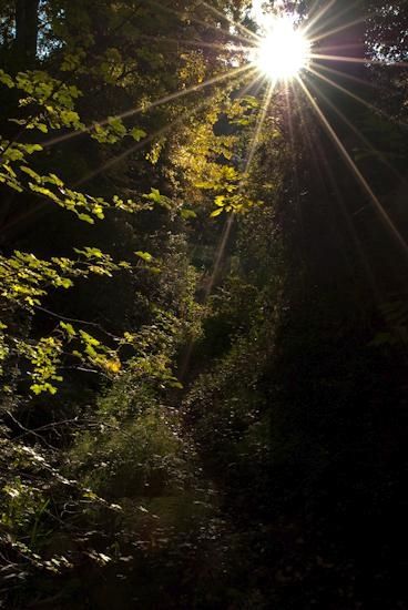 Fotografías menos votadas » Autor: Nichamer - Galería: Paisajes - Fotografía: Solo tu luz basta